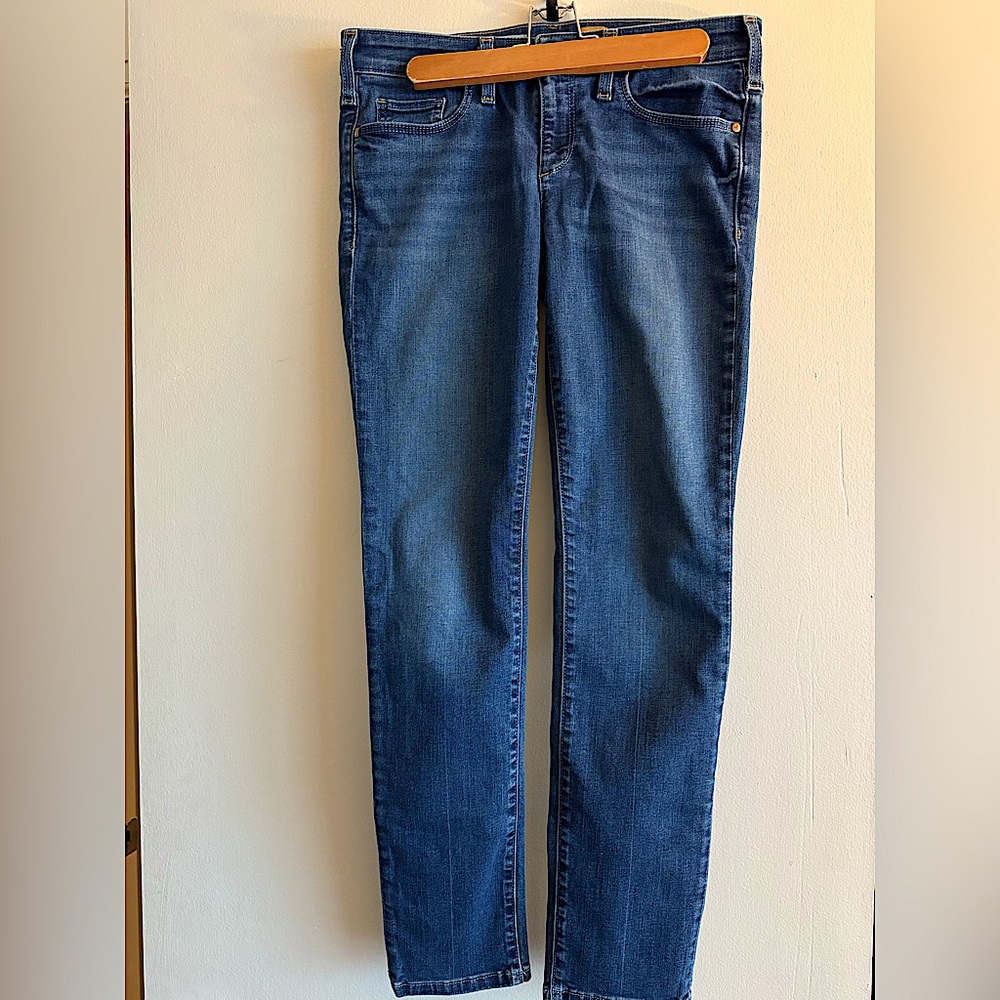 Anthropologie Pilcro and the letterpress Fit / Serif Skinny Jean